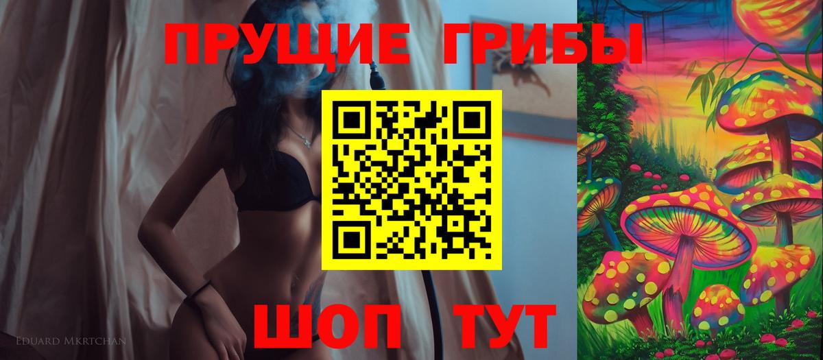 Галлюциногенные грибы Psilocybe Вышний Волочёк